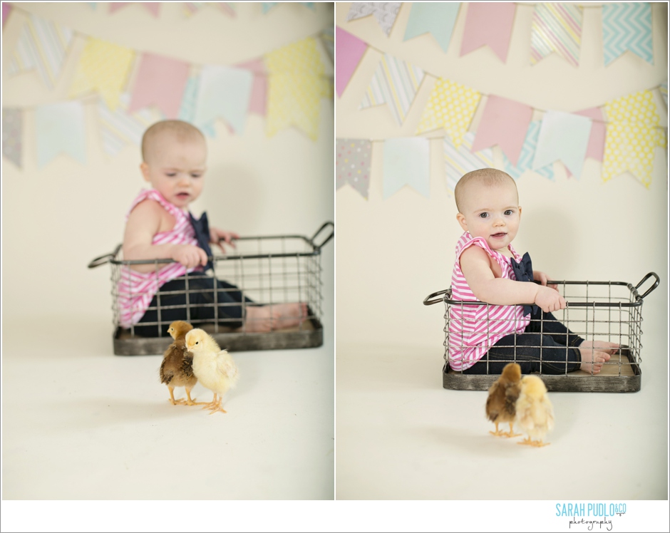 chicks_0025