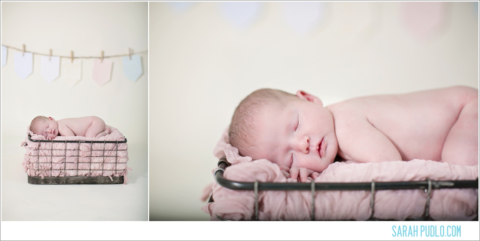 Sarah Pudlo & Co Newborn Session