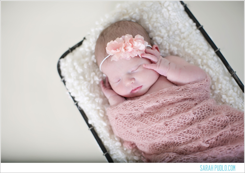 Sarah Pudlo & Co Newborn Session