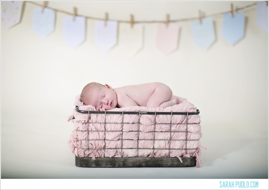 Sarah Pudlo & Co Newborn Session