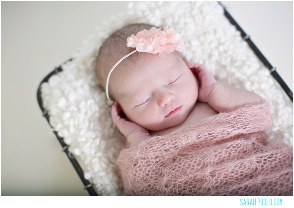 Sarah Pudlo & Co Newborn Session