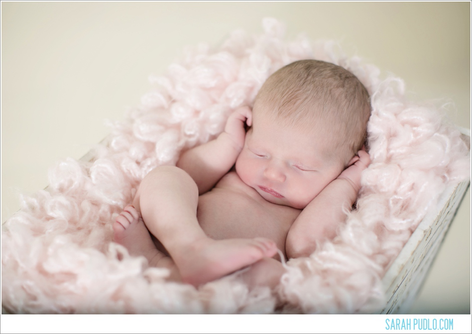 Sarah Pudlo & Co Newborn Session