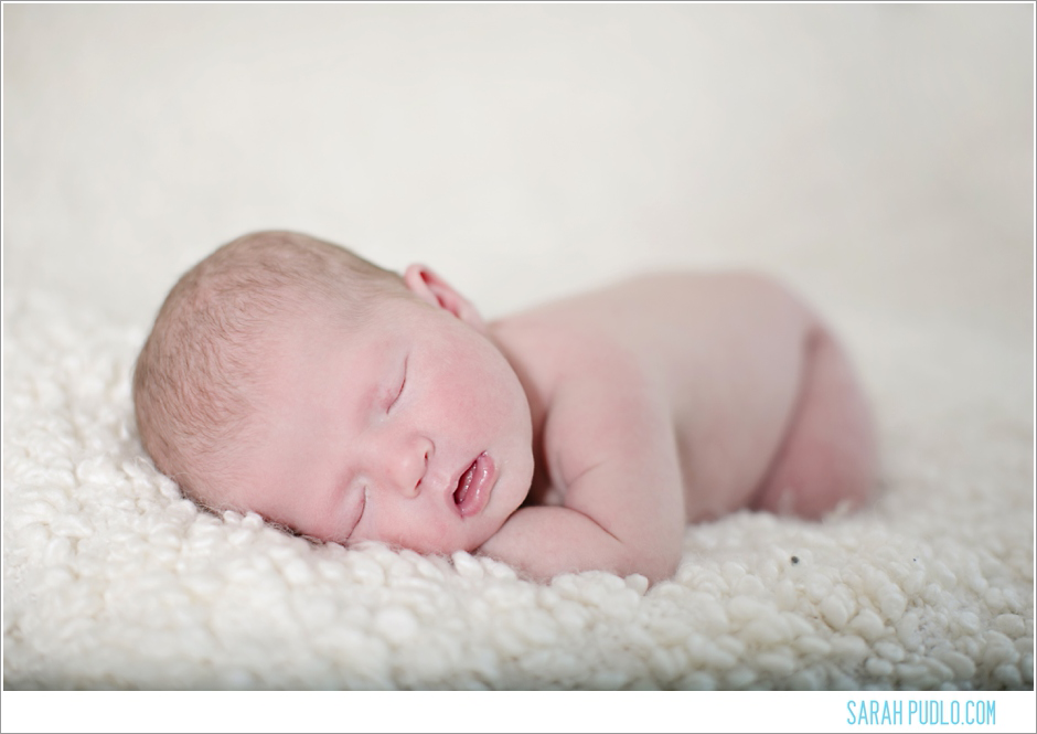 Sarah Pudlo & Co Newborn Session