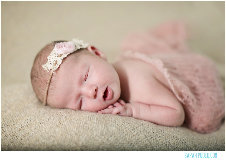 Sarah Pudlo & Co Newborn Session