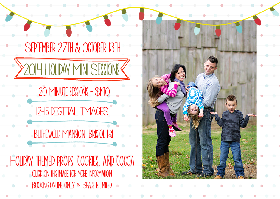 2014 holiday mini sessions